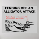 Alligator Attack Poster posters