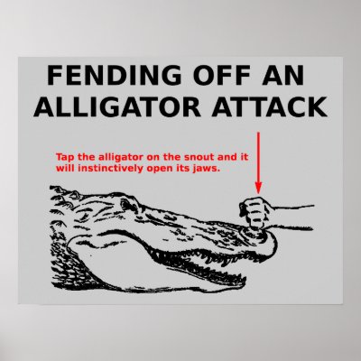 Alligator Attack Poster by FunnyBusiness