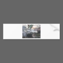 alligator bumper stickers