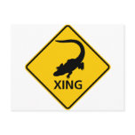 Alligator Crossing Highway Sign Postcards
