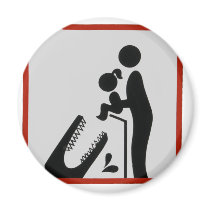 Alligator Feeding Time