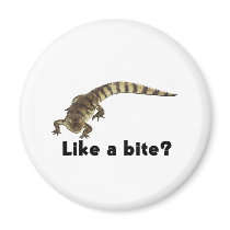 ALLIGATOR FROM JUNGLEWALK.COM