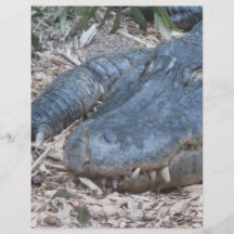 Alligator in its Natural Habitat Custom Flyer