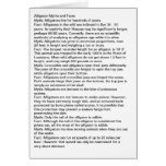 Alligator Myths and Facts cards