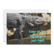 Alligator On Dock