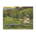 ALLIGATOR POWER, Old Florida Postcards