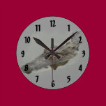Alligator wall clocks