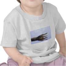 Alligator Shirts