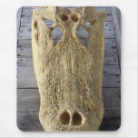 Alligator skull on wooden deck, gator head mouse pads