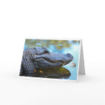 Alligator With Golfball Card