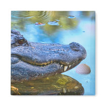 Alligator With Golfball Magnet