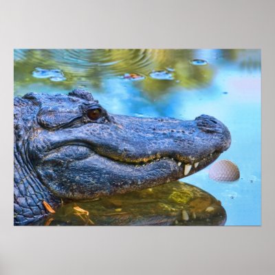 Alligator With Golfball Print by GrandmaDee
