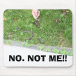 Alligators-2 080, NO. NOT ME!! mousepads