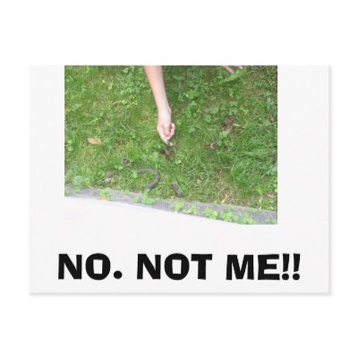 Alligators-2 080, NO. NOT ME!! Postcard by cc1234