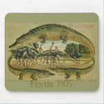 Alligators at Ostrich Farm mousepad
