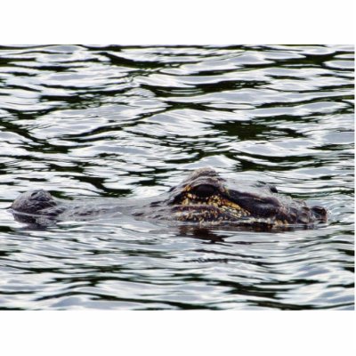 Alligators Photo Sculpture by lifesphere