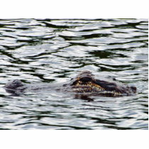 Alligators Photo Sculpture