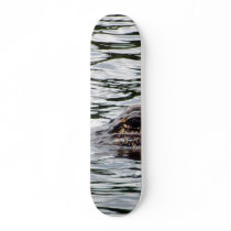 Alligators Skate Board Decks