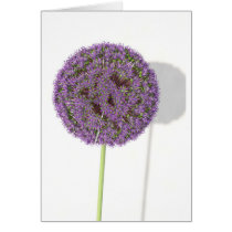 Allium Card