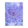 Allium Flower In Blue Postcard