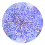 Allium Flower In Blue Round Sticker