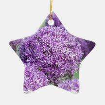 Allium Flowers Ornament