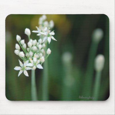 Allium~Garlic Chives Mousepad by littlewingdesign