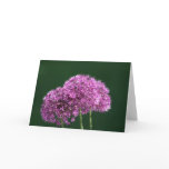 "Allium Globemaster" Floral Photo Greeting Card