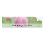 Allium Schoenoprasum - Chive bud bumper stickers