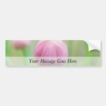 Allium Schoenoprasum - Chive bud Bumper Sticker