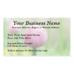 Allium Schoenoprasum - Chive bud Business Card Template