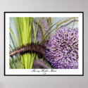 Allium Watercolor - Colossal Size posters