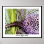 Allium Watercolor - Colossal Size posters