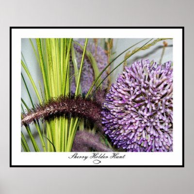 Allium Watercolor - Colossal Size Print by SherryHolderHunt
