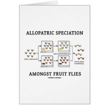 Allopatric Speciation Amongst Fruit Flies Card