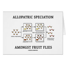 Allopatric Speciation Amongst Fruit Flies Greeting Cards