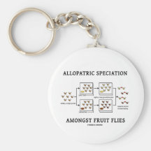 Allopatric Speciation Amongst Fruit Flies Key Chains