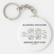 Allopatric Speciation Amongst Fruit Flies Keychains