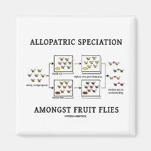 Allopatric Speciation Amongst Fruit Flies Magnet