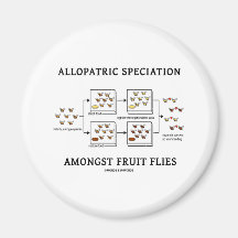 Allopatric Speciation Amongst Fruit Flies Magnets