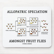 Allopatric Speciation Amongst Fruit Flies Mouse Mat
