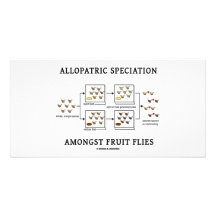 Allopatric Speciation Amongst Fruit Flies Personalized Photo Card