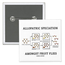 Allopatric Speciation Amongst Fruit Flies Pins