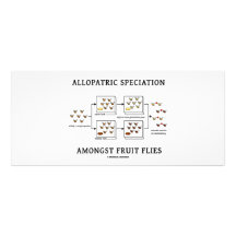 Allopatric Speciation Amongst Fruit Flies Personalised Rack Card