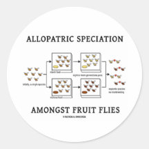 Allopatric Speciation Amongst Fruit Flies Round Stickers