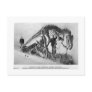 Allosaurus skeleton art postcard