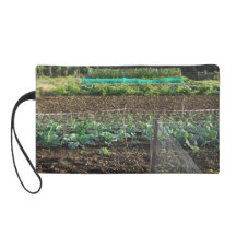 Allotment