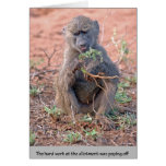 Allotment Baboon Card