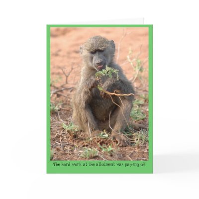 Allotment Greeting Card by BlackTiePictures