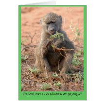 Allotment Greeting Card